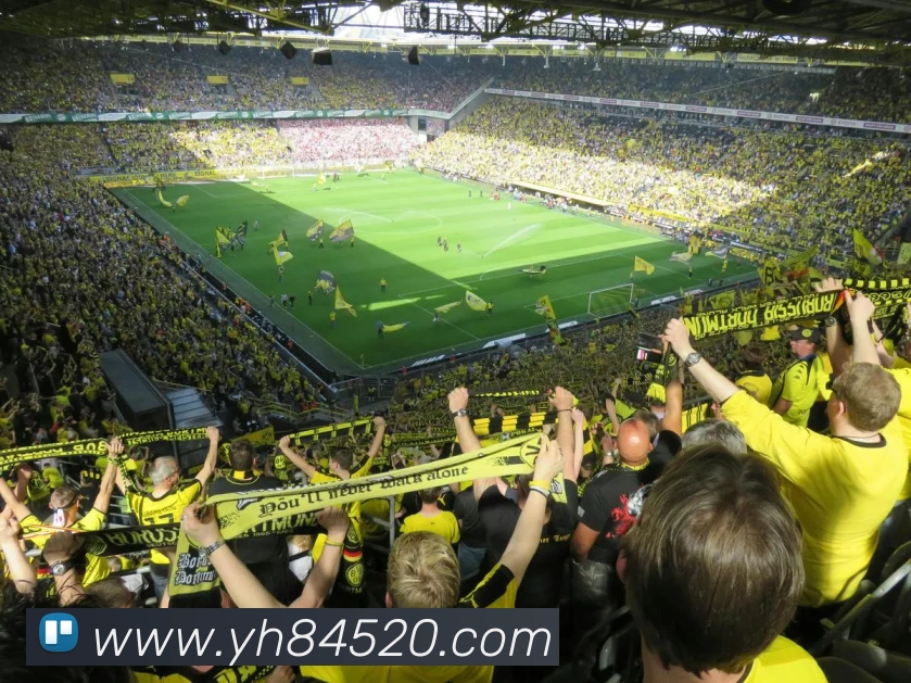 扫码下载 App